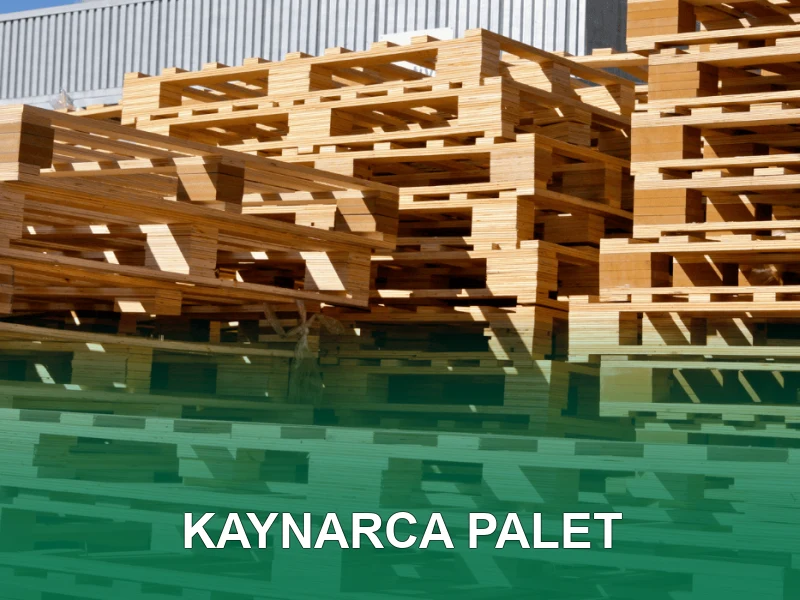 Kaynarca Palet Galeri 1