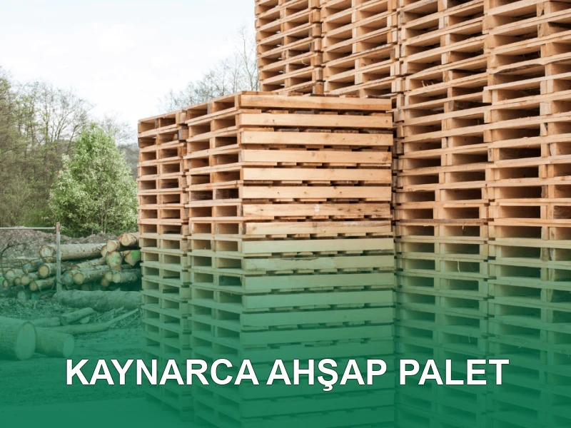 Kaynarca Palet Galeri 4