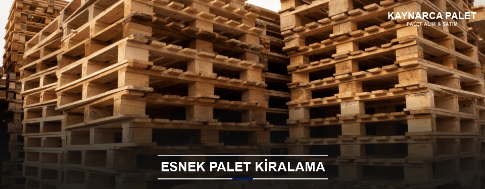 Kaynarca Uygun Fiyatlı Palet Kiralama Kaynarca Uygun Fiyatlı Palet Kiralama